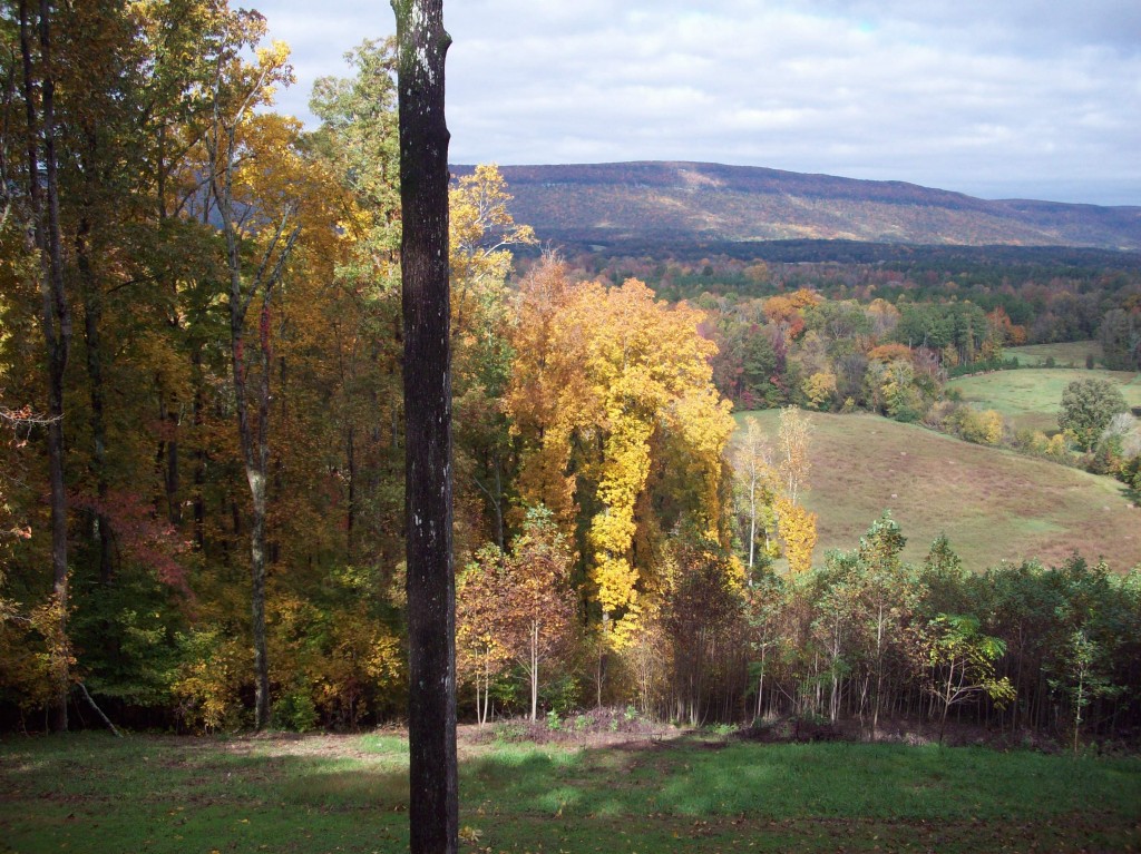 Early Fall 2